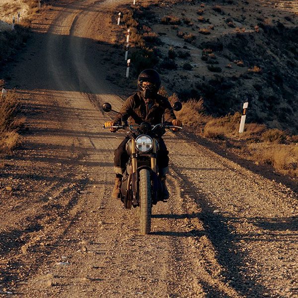 bear-650-contatenos-r2tggl383u3lbe8wp5bly0q8acqa2tpzd1euo20i28